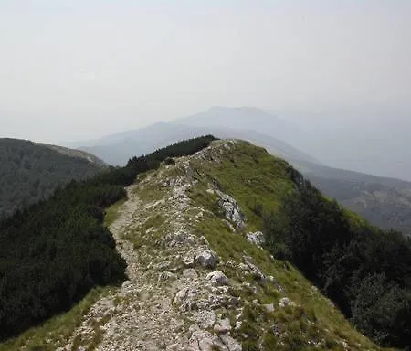 Ina