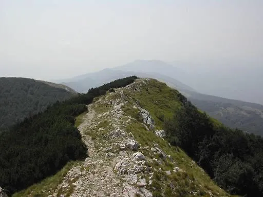 Ina